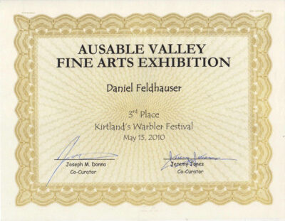 Fine Art Exhibit Award 3rd Place