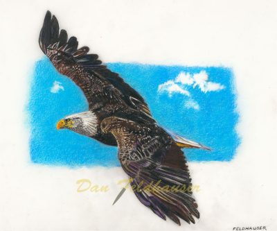 Freedom Flight