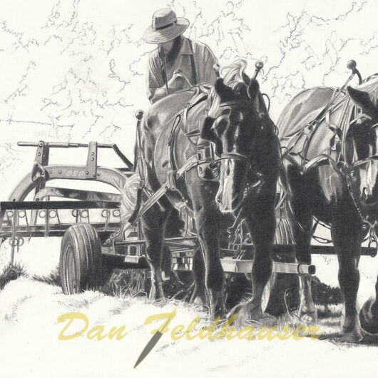 Seasons – Amish Farmer