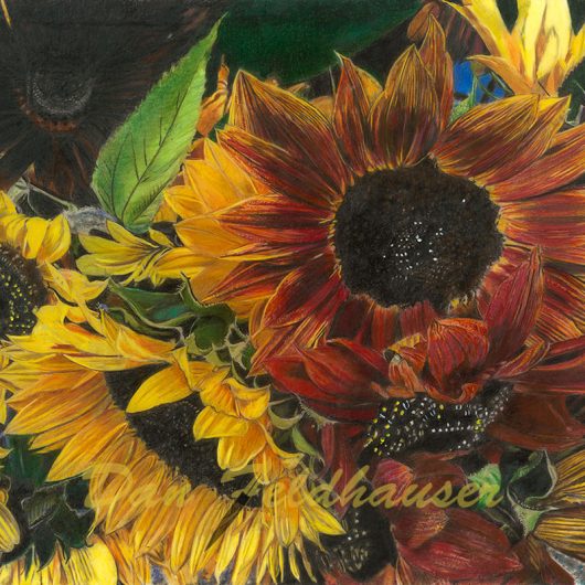 Sunflowers Variety #2