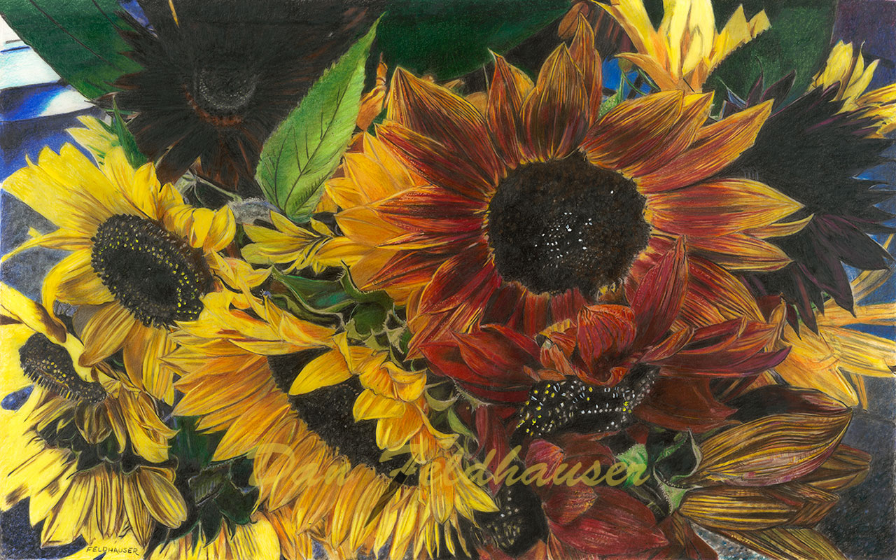 Sunflowers Variety #2