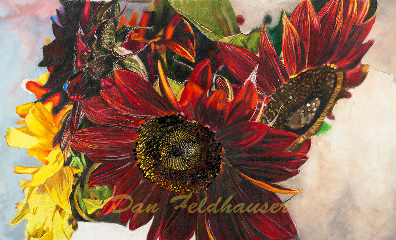 Variety Sunflowers